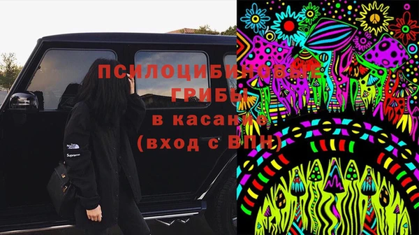 мяу мяу мука Алексин