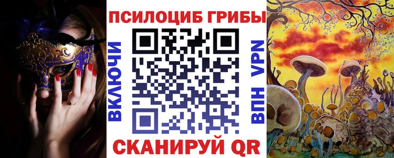 ссылка на мегу ссылка  Шуя  Псилоцибиновые грибы ЛСД 